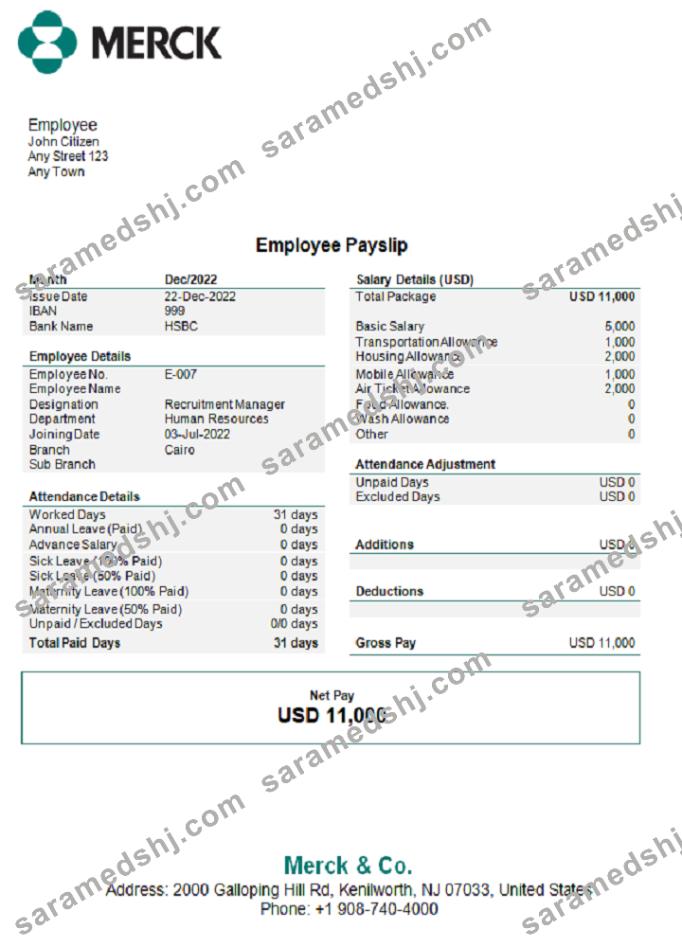 USA Merck & Co. pharmaceutical company pay stub